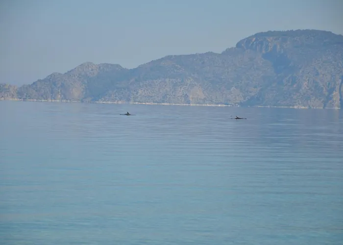 Villa In Kalloni Direkt Am Meer, Tolle Aussicht