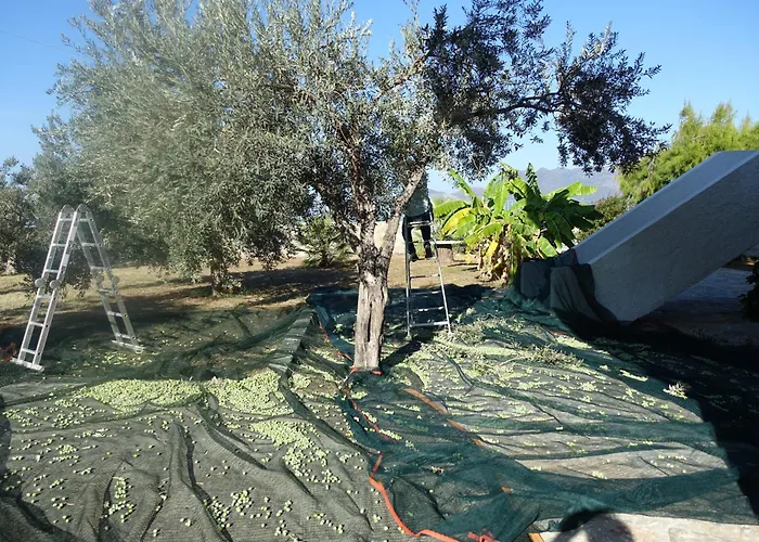 Villa In Kalloni Direkt Am Meer, Tolle Aussicht