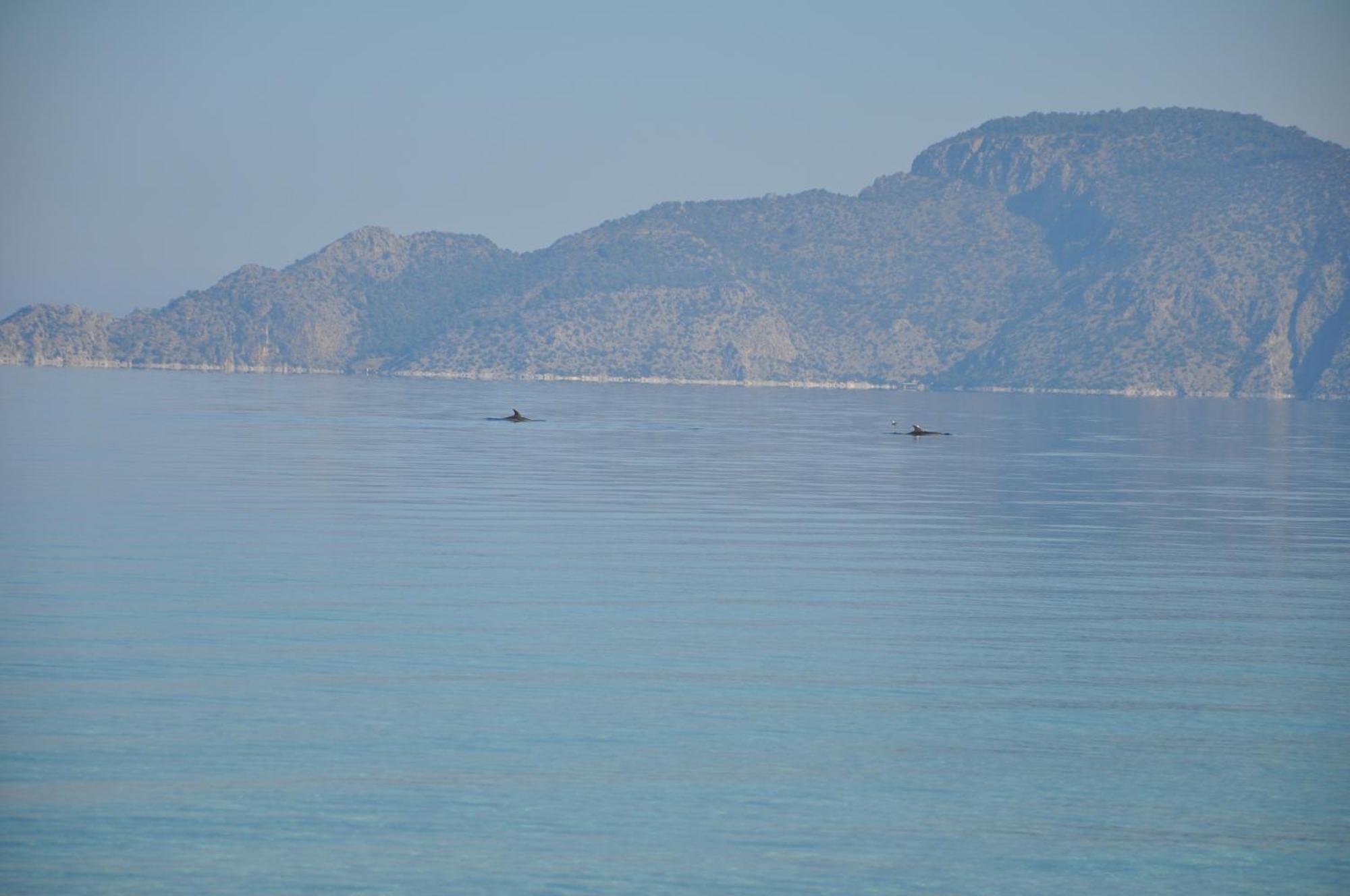 In Kalloni Direkt Am Meer, Tolle Aussicht Apartmán